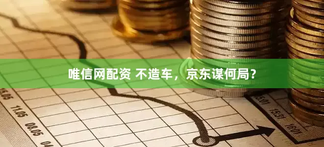唯信网配资 不造车，京东谋何局？