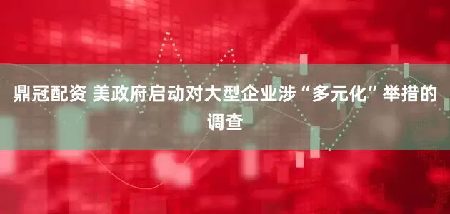 鼎冠配资 美政府启动对大型企业涉“多元化”举措的调查
