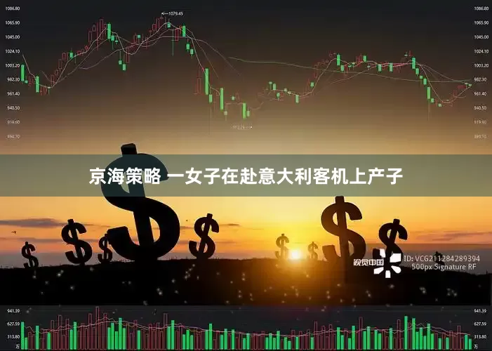 京海策略 一女子在赴意大利客机上产子